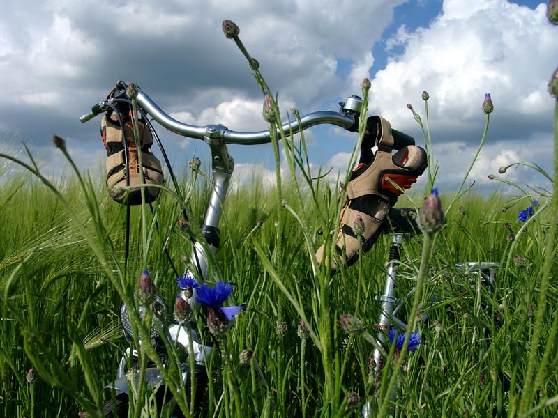 Killikus® Fotographie Killikus® Fotographie